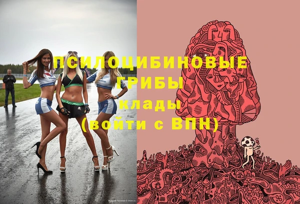 бошки Лагань