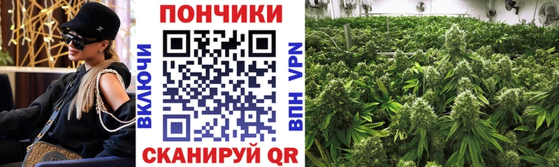 Купить  Малоярославец  Бошки Шишки OG Kush 